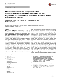 Photosynthetic carbon and nitrogen metabolism and the relationship
