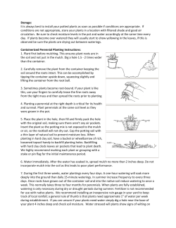 Storage: It is always best to install your potted plants as soon as