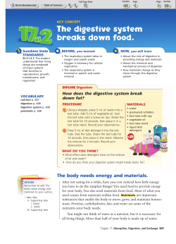 The digestive system breaks down food.