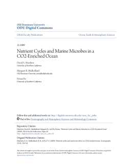 Nutrient Cycles and Marine Microbes in a CO2