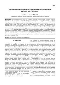 Improving Soluble Expression of &beta;-Galactosidase in Escherichia coli
