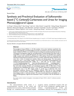 Theranostics Synthesis and Preclinical Evaluation of Sulfonamido