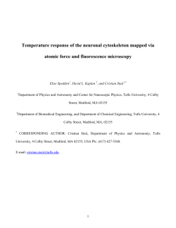 Temperature response of the neuronal cytoskeleton mapped