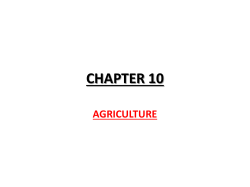 CHAPTER 10