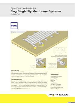 Flag Single Ply Membrane Systems