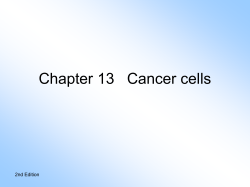 chapter2