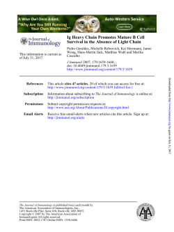 Survival in the Absence of Light Chain Ig Heavy Chain Promotes