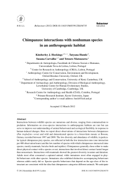 Chimpanzee interactions with nonhuman species in an