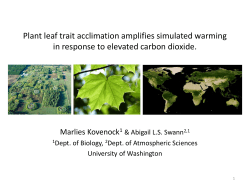 Plant trait acclimation amplifies simulated warming in response to