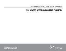 GUIDE TO WEED CONTROL 2016&ndash;2017 Publication 75