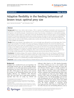 Adaptive flexibility in the feeding behaviour of brown trout: optimal