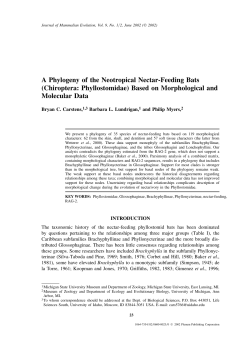 A Phylogeny of the Neotropical Nectar