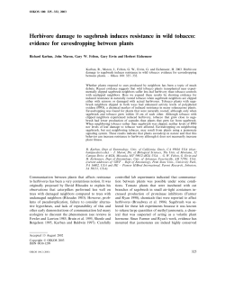 Herbivore damage to sagebrush induces resistance in wild tobacco