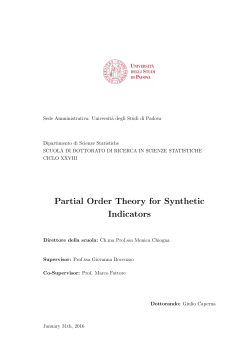 Partial Order Theory for Synthetic Indicators