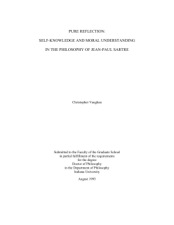 Pure Reflection - Paul Vincent Spade