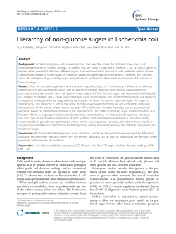 Hierarchy of non-glucose sugars in Escherichia coli