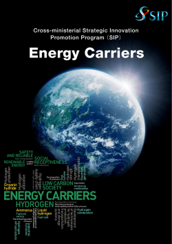 Energy Carriers