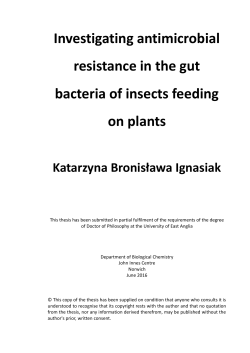 Investigating antimicrobial resistance in the gut bacteria of insects