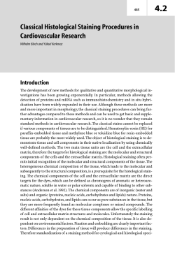 Classical Histological Staining Procedures in Cardiovascular