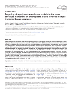 Targeting of a polytopic membrane protein to the inner envelope
