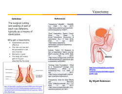 No-Scalpel Vasectomy - humanphys-chan