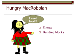 Procuring food Autotrophs and Hetertrophs