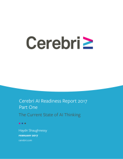 Cerebri AI Readiness Report 2017