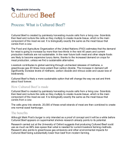 Process - Cultured Beef