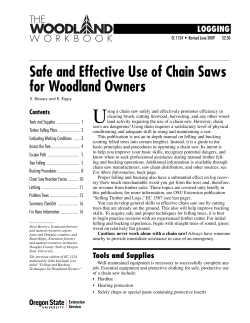 Safe and Effective Use of Chain Saws for