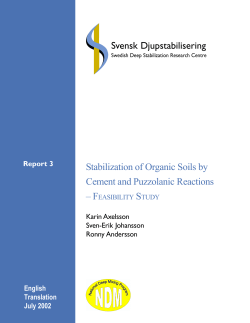 Stabilization of Organic Soils by Cement and Puzzolanic Reactions