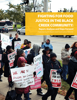 fighting for food justice in the black creek community