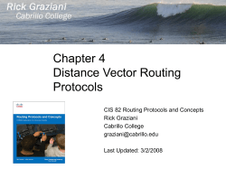 Distance vector routing protocols