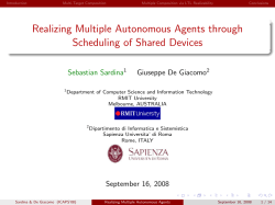 Realizing Multiple Autonomous Agents through