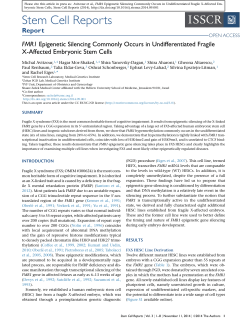 FMR1 Epigenetic Silencing Commonly Occurs in Undifferentiated