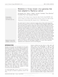 Mutations in Turnip mosaic virus genomes that have adapted to