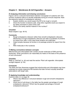 Chapter 2 answers