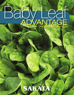 Baby Leaf Advantage Brochure
