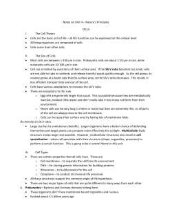Notes on Unit 4 &ndash; Nature`s Principles CELLS The Cell Theory Cells