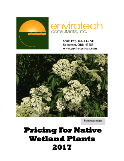 Pricing For Native Wetland Plants 2017
