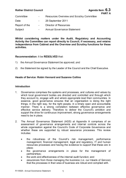 annual governance framework