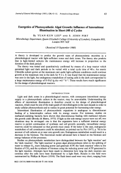 Energetics of Photosynthetic Algal Growth
