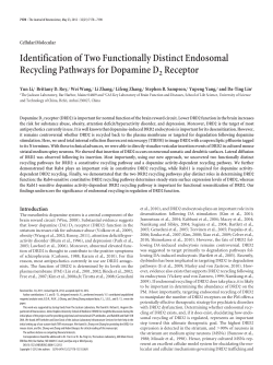 Identification of Two Functionally Distinct Endosomal Recycling