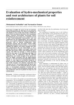 Evaluation of hydro-mechanical properties and root architecture of