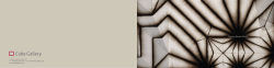 Carbon Based Forms
