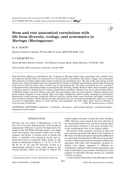 Stem and root anatomical correlations with life form diversity