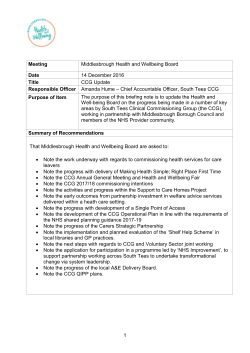 (Attachment: 7)CCG Update - Member and Committee Information
