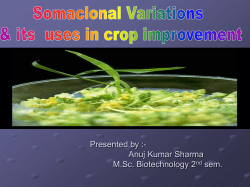 Schemes for obtaining somaclonal variation
