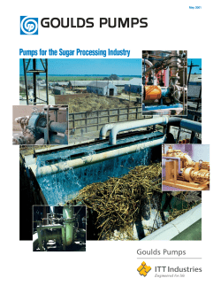 ENGLISH SUGAR2