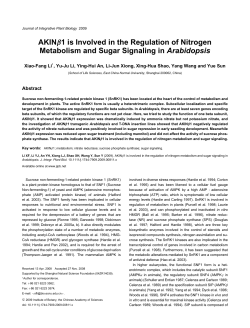 AKIN&beta;1 is Involved in the Regulation of Nitrogen Metabolism and