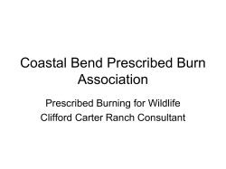 Prescribed Burning for Wildlife - the Coastal Bend Prescribed Burn